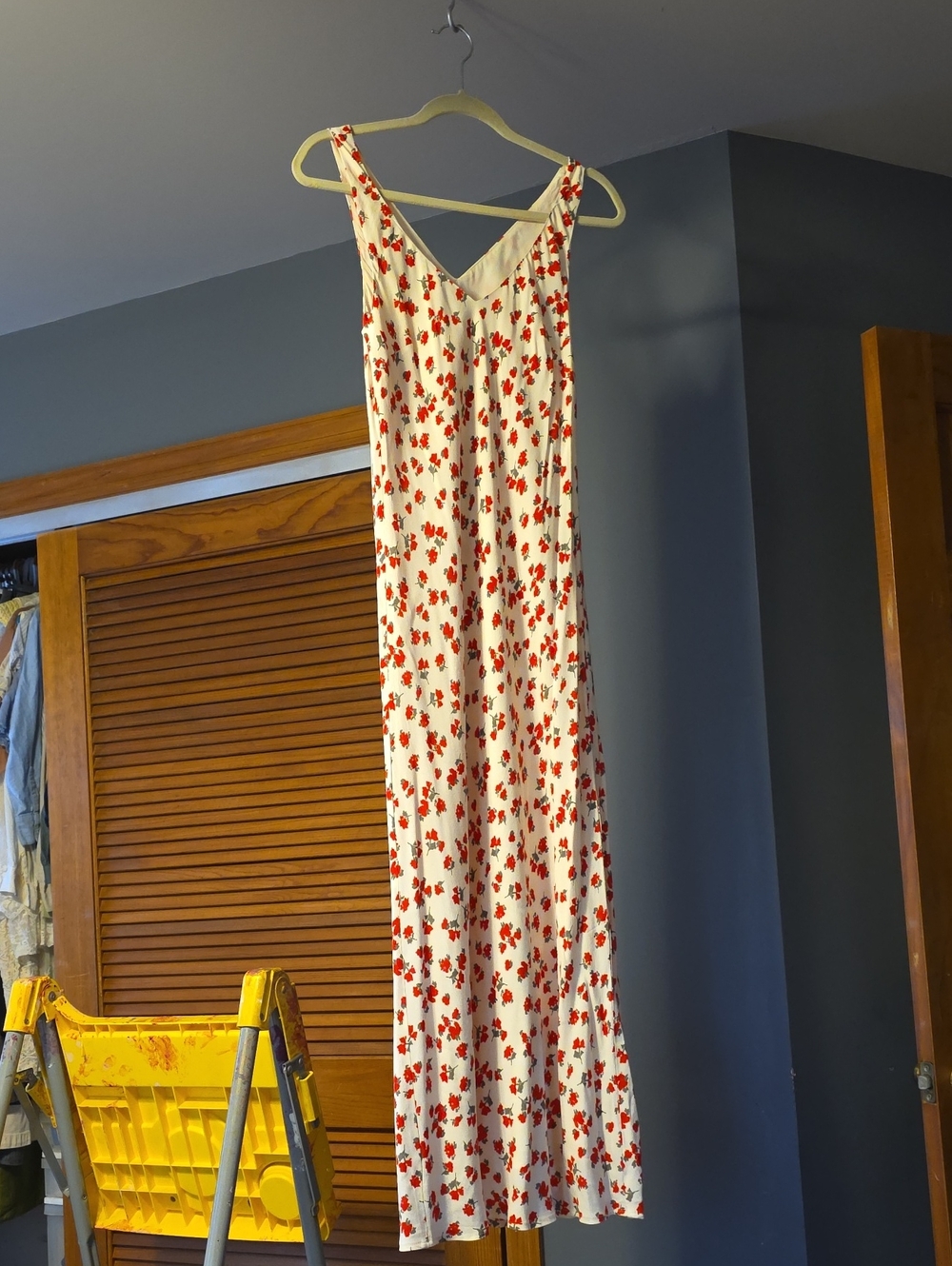 Z Supply Cream Maxi Dress with Red Floral Print
